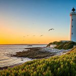 Que faire à l'île de Ré : top activités incontournables
