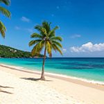 Où partir à noël au soleil : top 5 des destinations ensoleillées