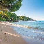 Découvrez pourquoi la plage de Palombaggia est la plus belle de Corse