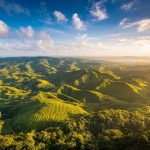 Que faire au sri lanka : 10 aventures incontournables pour réussir votre voyage