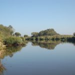 La Brière, deuxième plus grand marais de France, offre des paysages uniques et une quiétude absolue pour une balade automnale