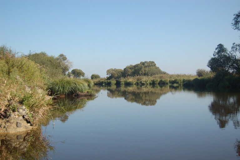 La Brière, deuxième plus grand marais de France, offre des paysages uniques et une quiétude absolue pour une balade automnale