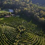 Ce village de la Creuse abrite le plus grand labyrinthe végétal permanent au monde, un dédale de 2,5 hectares 