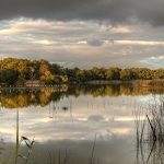 Loin de l&rsquo;agitation, le Parc naturel de la Brenne, le « pays des mille étangs », est une parenthèse de sérénité automnale