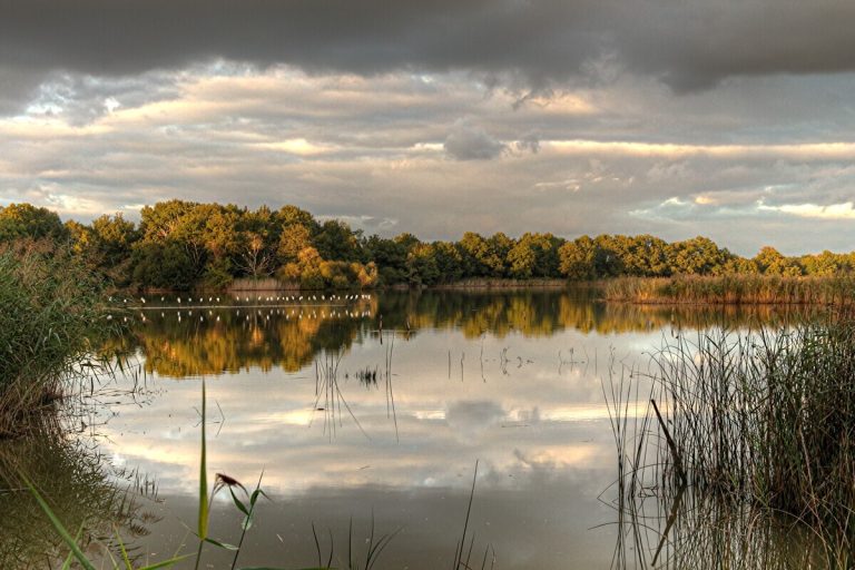 Loin de l&rsquo;agitation, le Parc naturel de la Brenne, le « pays des mille étangs », est une parenthèse de sérénité automnale