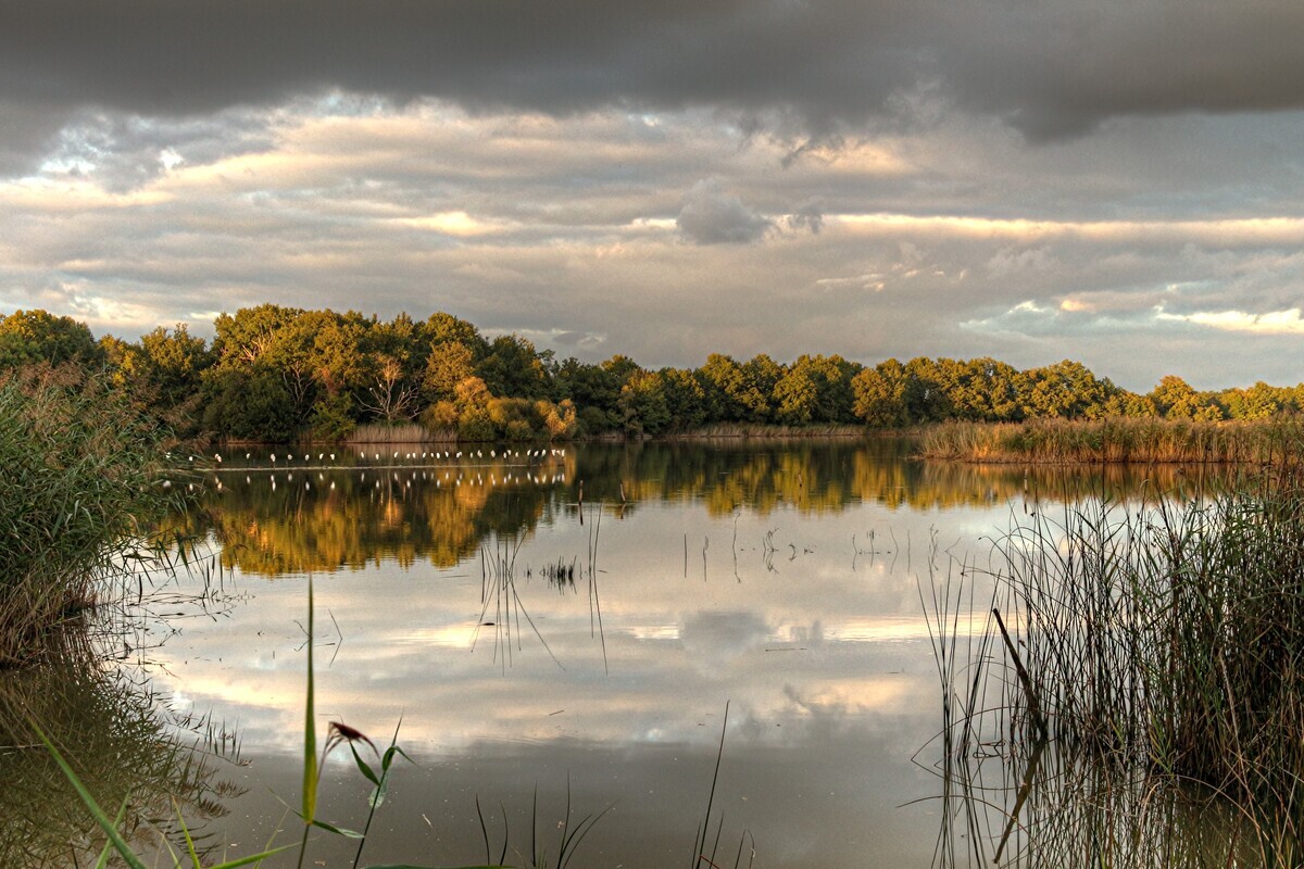 Loin de l&rsquo;agitation, le Parc naturel de la Brenne, le « pays des mille étangs », est une parenthèse de sérénité automnale