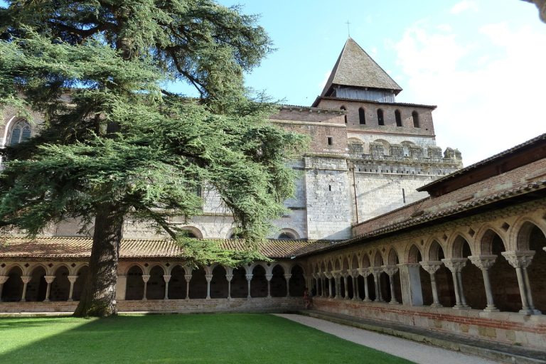 Ce village du Tarn-et-Garonne est célèbre pour son raisin AOC, une dégustation automnale unique à faire 