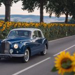 Laissez tomber la Route 66 : cette route nationale française, oubliée des GPS, traverse la France authentique sur 1000 km (Nationale 7)