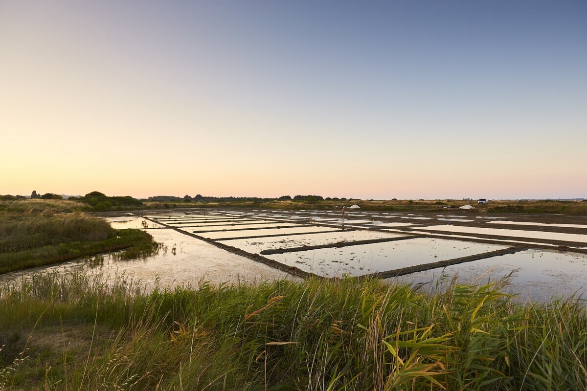 À 1h de Nantes, cette saline se pare de couleurs incroyables en automne, une visite surprenante et photogénique 