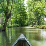 À 2h de Bordeaux, le Marais poitevin se visite en silence en automne, une expérience nature immersive et unique