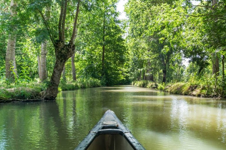 À 2h de Bordeaux, le Marais poitevin se visite en silence en automne, une expérience nature immersive et unique