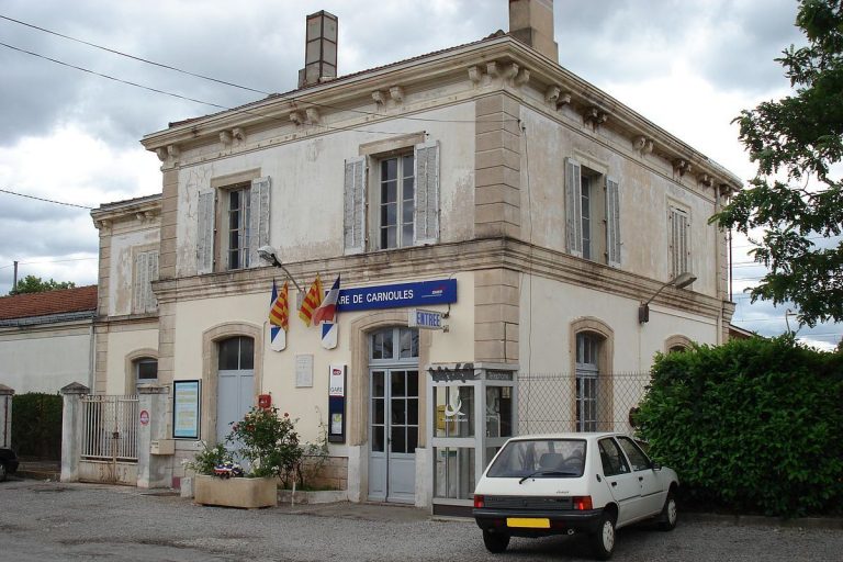 Ce village du Var abrite un village de tortues, un centre de protection unique à visiter pour une sortie en famille cet automne