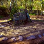 Non, ce n&rsquo;est pas la forêt de Sherwood, mais celle de Brocéliande en Bretagne, où se trouve le véritable tombeau de l&rsquo;enchanteur Merlin 