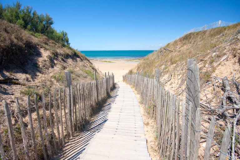Cette île charentaise est la seule en France où les ânes portaient des culottes pour se protéger des moustiques
