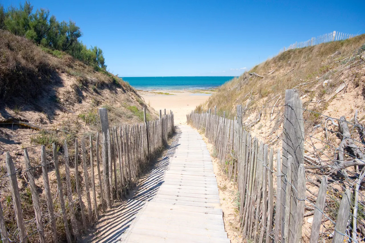 Cette île charentaise est la seule en France où les ânes portaient des culottes pour se protéger des moustiques