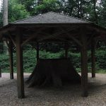Ce village de la Sarthe, au cœur de la forêt de Bercé, est le refuge idéal pour les amoureux de nature et de calme cet automne