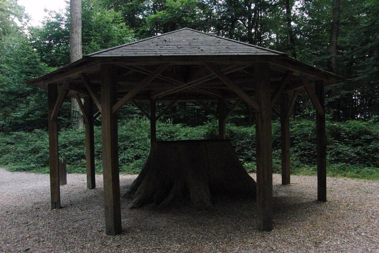 Ce village de la Sarthe, au cœur de la forêt de Bercé, est le refuge idéal pour les amoureux de nature et de calme cet automne