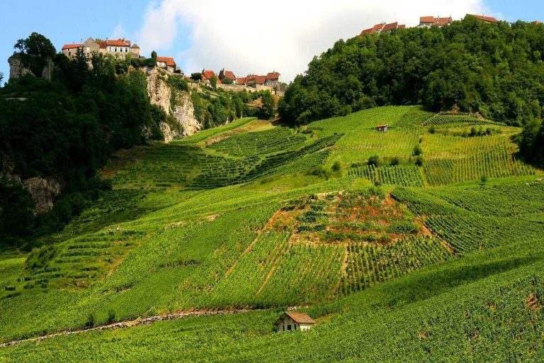 Oubliez le champagne : ce petit vignoble du Jura produit un vin jaune unique au monde, vieilli pendant plus de six ans en fût