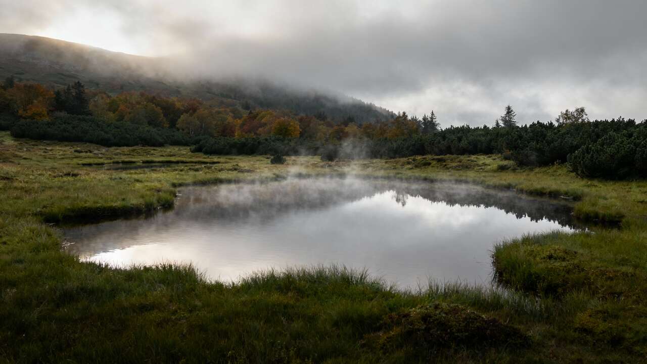 Le plateau des mille étangs dans les Vosges est un paysage unique en France, encore plus mystérieux sous les brumes d'automne